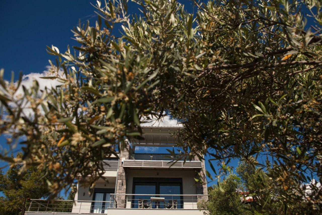 Olivia Estate Villa With Private Swimming Pool Элия Экстерьер фото